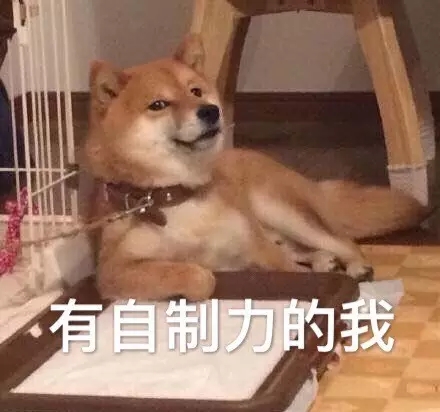 “双十一”专属表情包！不管你是哪类人，总有一款戳中你……_齐鲁壹点网